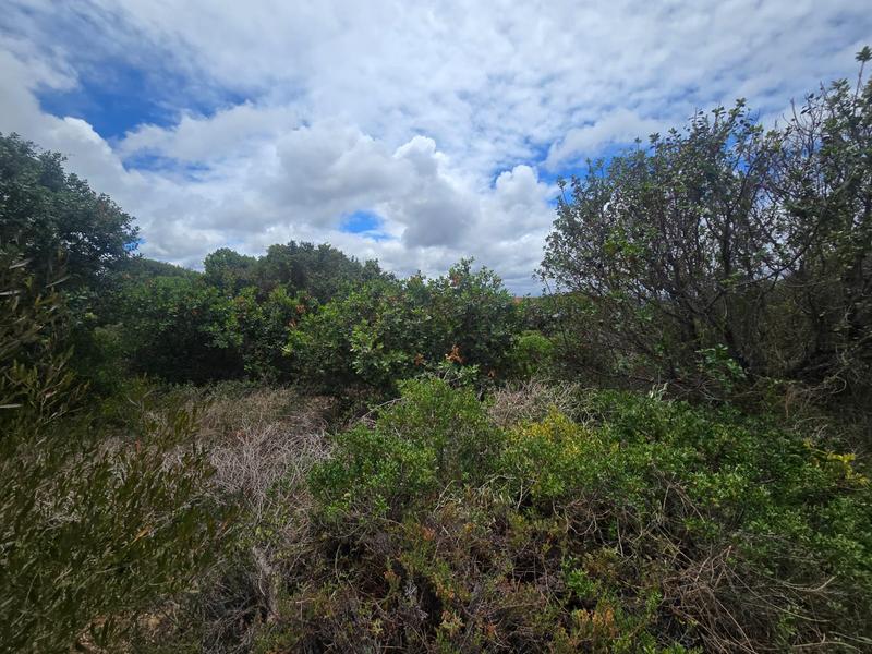 0 Bedroom Property for Sale in Stilbaai Wes Western Cape